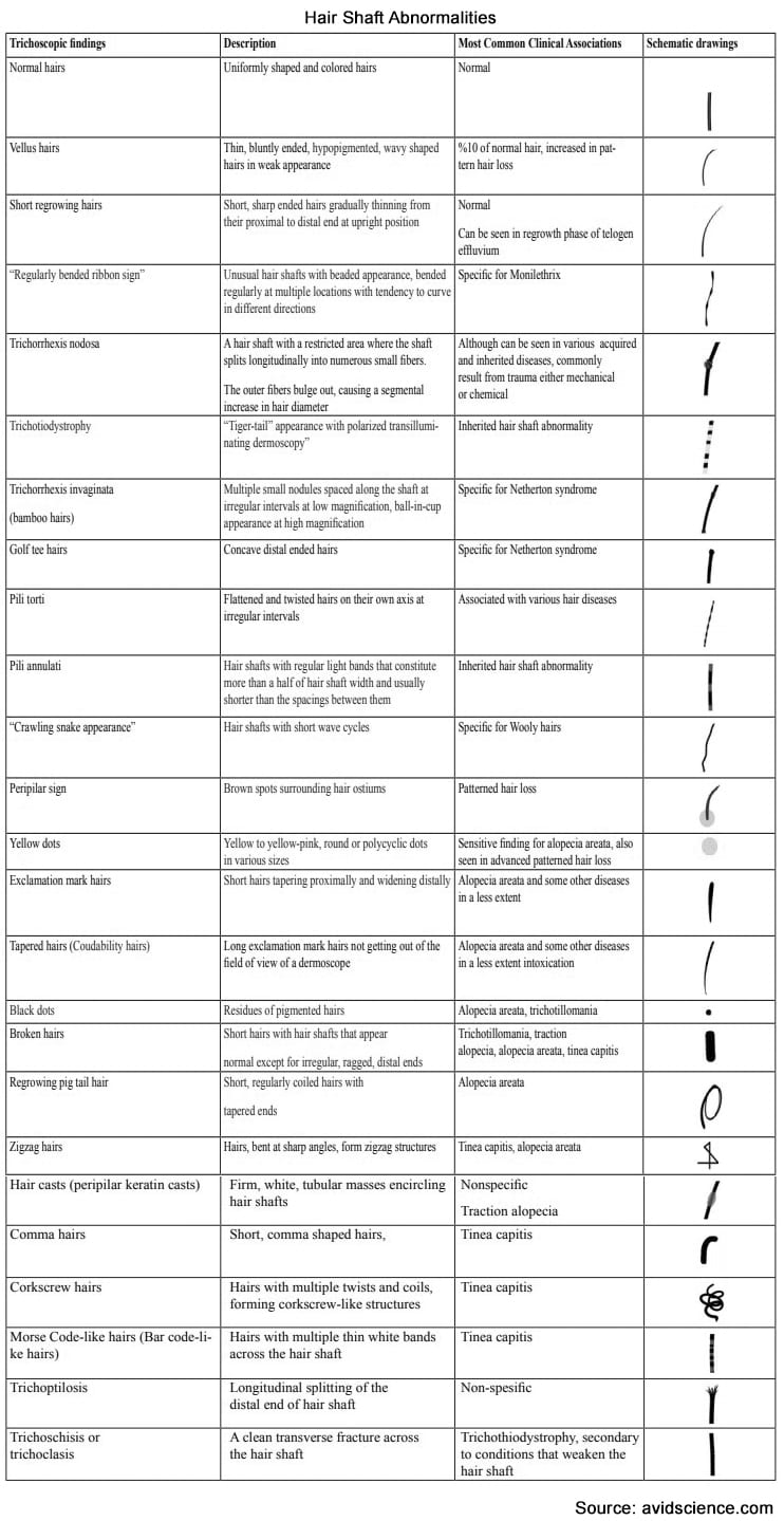 Hair Shafts in Trichoscopy