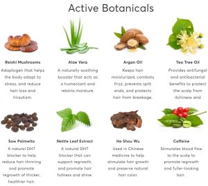Active-Botanicals